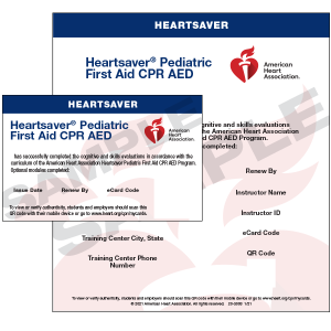 HeartSaver Pediatric First Aid, CPR & AED eCard (2020)